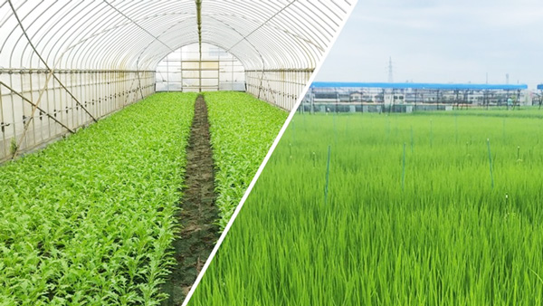 東大・クボタ・パナソニックHD、土壌微生物の機能制御・利用学に関する共同研究を開始