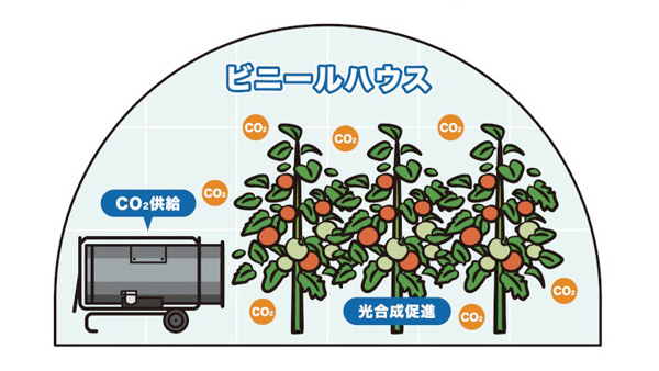 CO2施用のイメージ