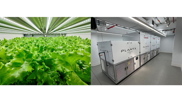 米国ニューヨーク市に人工光型植物工場のマーケティング拠点を開設　クボタ.jpg