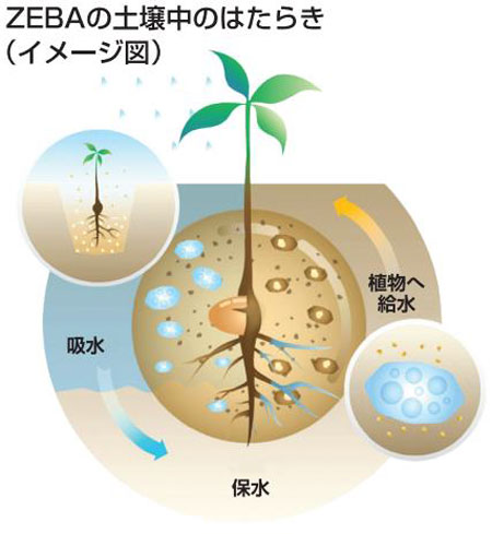 ZEBA土壌中のはたらき（イメージ図）