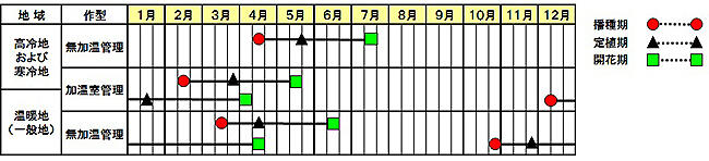 「バカラiQ」作型図