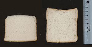 焼き上がり比較（左：増粘剤なし米粉パン、右：増粘剤入り米粉パン）