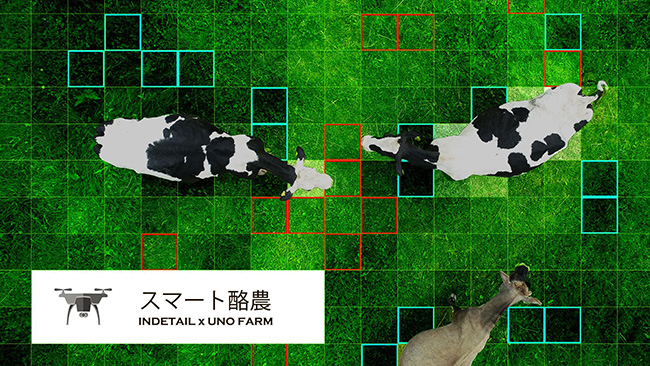 牛の移動ルートを自動形成　北海道でスマート酪農実証実験