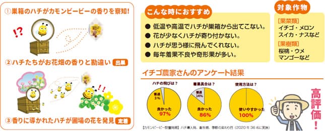 「カモンビービー」使用方法