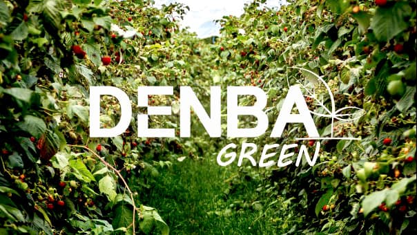 「DENBA GREEN」