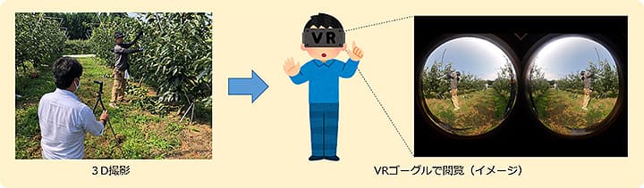 3D撮影動画イメージ