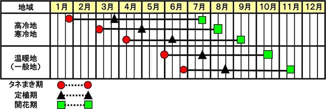 「PF ダブル スノー」の作型図