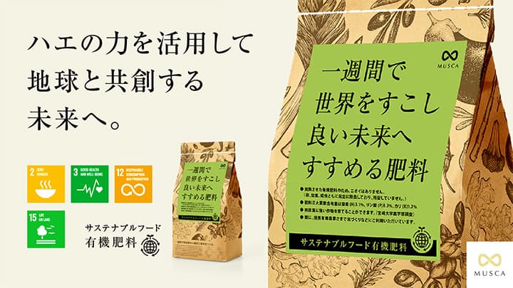 ムスカ有機肥料を用いたお茶の生産実証実験開始２