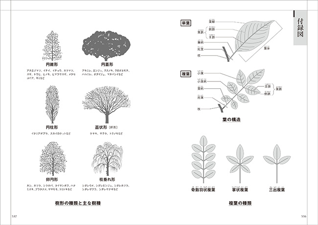 「農業用語の基礎知識」サンプル