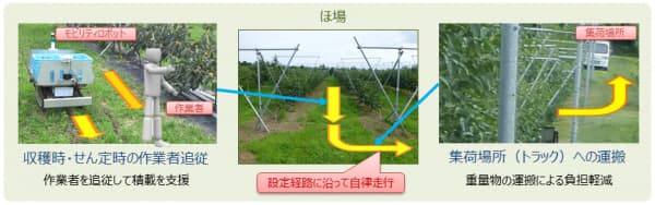 「おけさ柿」栽培の省力化へ自動走行運搬ロボット活用　実証実験開始　NSW