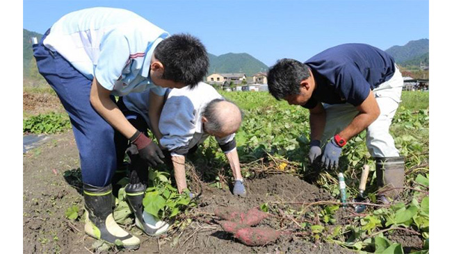 療法士（写真左）付き添いのもと、サツマイモの収穫に取り組む患者（写真左から2人目）