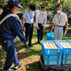 試験場となる山口農林総技センターほ場で、運搬支援ロボットを試験走行