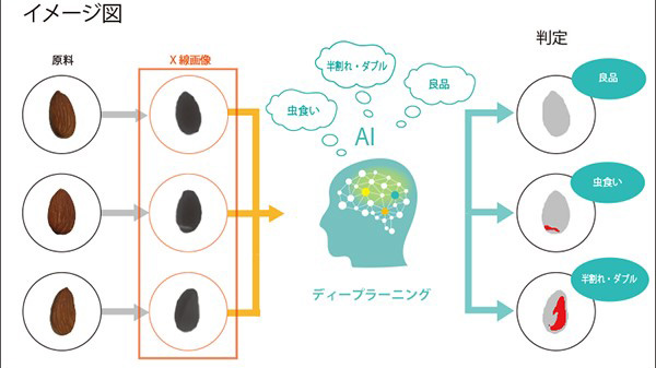 X線とAIの組み合わせのイメージ図