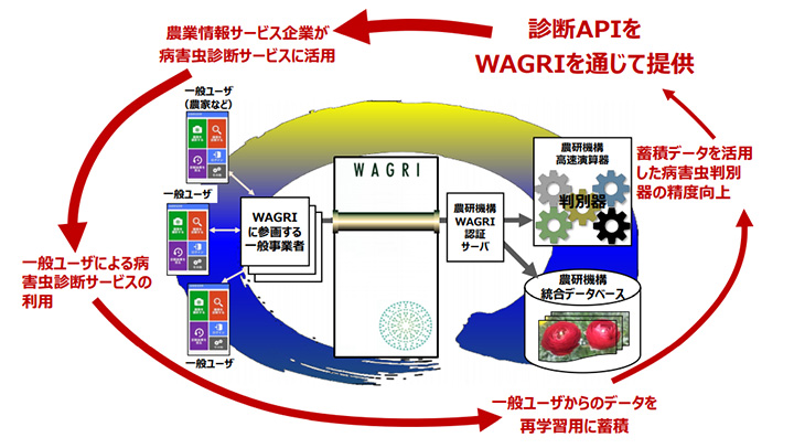 病害虫防除に役立ちながら成長するAI病虫害診断