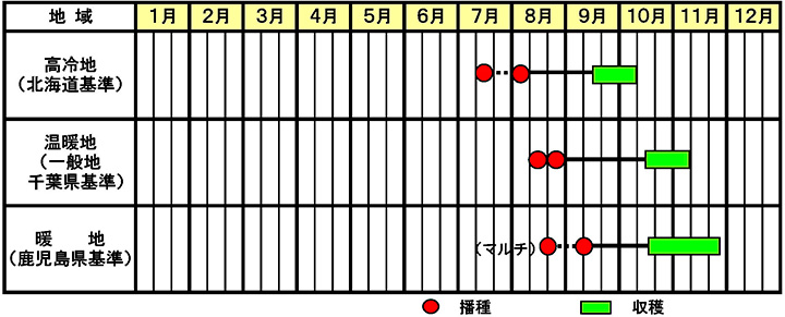 「夏相撲」作型図