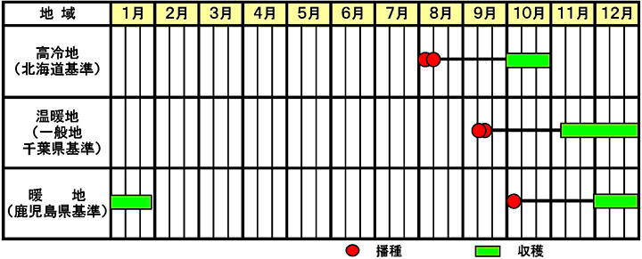 「秋相撲」作型図