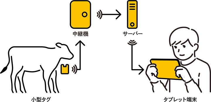 日々変化が起こりやすい仔牛に特化したシステム