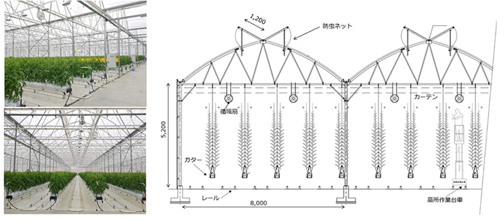高収量が期待できるハウス「G-Castle Pro1」