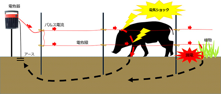 人気定番の 末松電子 電気牧柵機 ハイパワーゲッター HP-8000 No.105