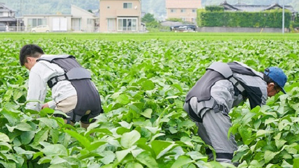 電力不要で屋外での作業で心配な突然の雨にも安心