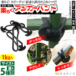 果樹誘引など屋外で使える結束バンド「楽らくアンカーバンド！」新発売　YKC Japan