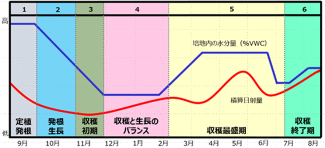 6フェーズモデル