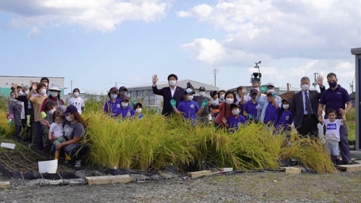 初収穫が行われたメノラーファーム（宮城県亘理町）