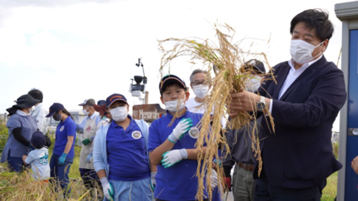 自ら鎌を手に取り、稲刈りをする亘理町の山田町長