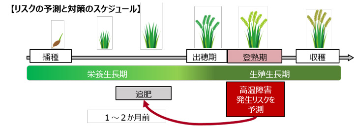 リスクの予測と対策のスケジュール