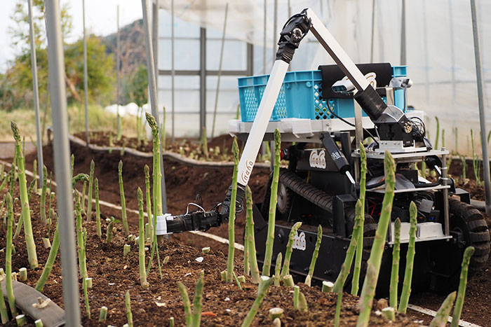 アスパラガスを収穫する「自動野菜収穫ロボット」