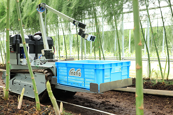 実用サービスを開始したinahoの自動野菜収穫ロボット