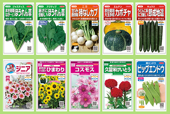 ホウレンソウが充実　春の品種10点追加　サカタのタネ