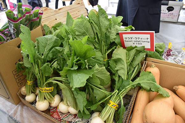 イタリア野菜