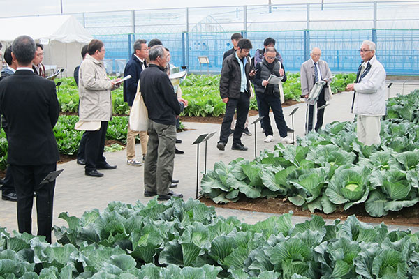 営農指導員など1000名が来場　タキイ種苗農場研修会