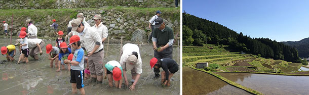 昨年の田植えイベント、田植えイベントで使用される高山地区の棚田