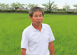 PR　ヤンマー密苗、「現場の声」（1）
