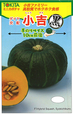 ホクホク食感のミニカボチャ発売　トキタ種苗