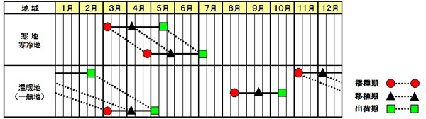 「エコチュニア」シリーズの作型図