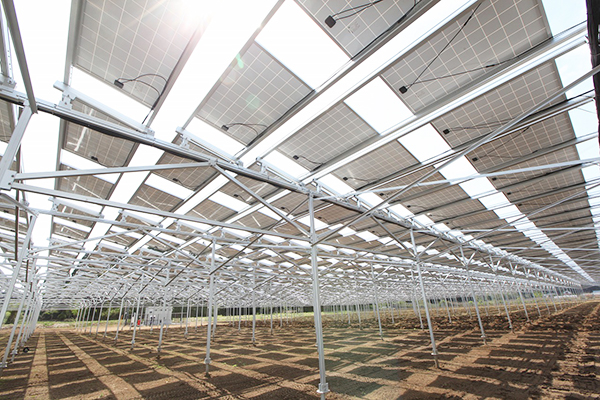 従来型の営農型太陽光発電向け架台