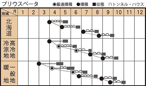 「プリウスベータ」の作型図