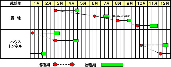 ミズナ『極早生水天』作型図