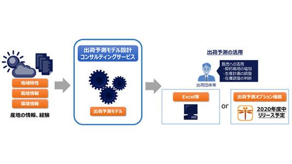 農作物の出荷予測モデルを設計　コンサルティングサービス提供開始　NTTデータとJSOL