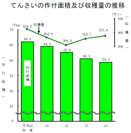 平成24年産てんさい、作付面積減るも収穫量増