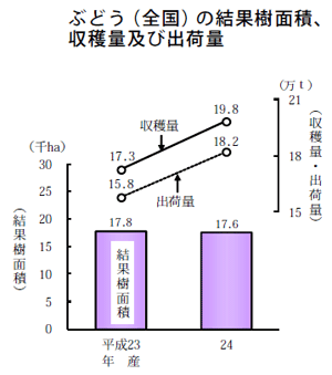 ブドウ