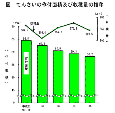 てんさいの作付面積及び収穫量の推移