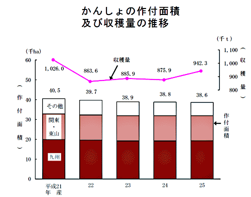 かんしょの作付面積及び収穫量の推移