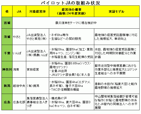 パイロットＪＡの取り組み状況