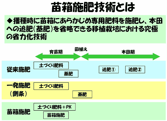 【肥料農薬部】水稲育苗箱全量施肥栽培技術「苗箱まかせ」で省力・低コスト化を実現