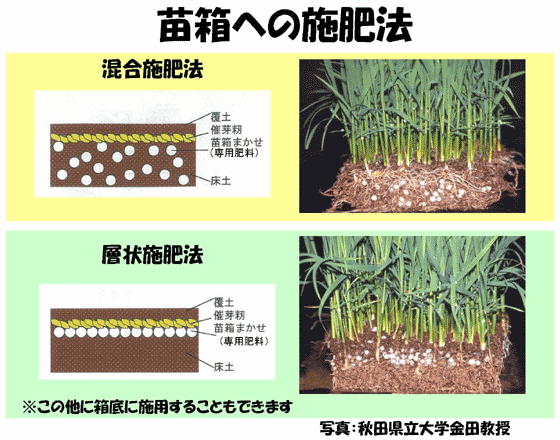 苗箱への施肥法