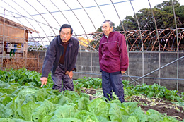 圃場で談笑する星・山下両氏（佐賀県唐津市の山下氏宅で）